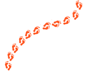 custom_path_models_wayfinding