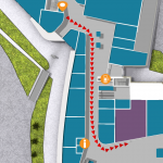 path-top-down-view